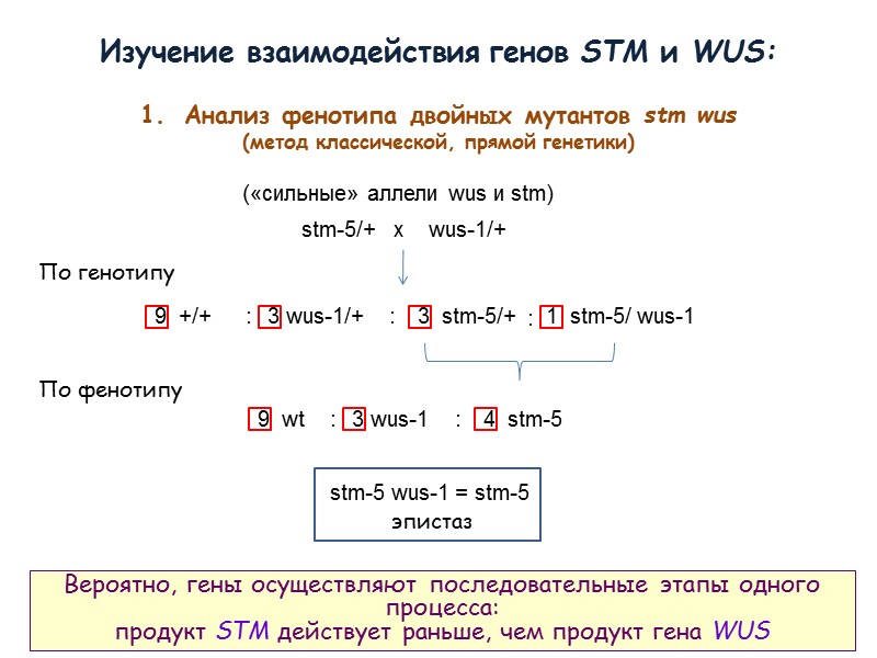 stm-5/+   x    wus-1/+ 3  stm-5/+ 9  +/+